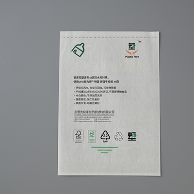 heatsealedpaperbagwaterproof2 3