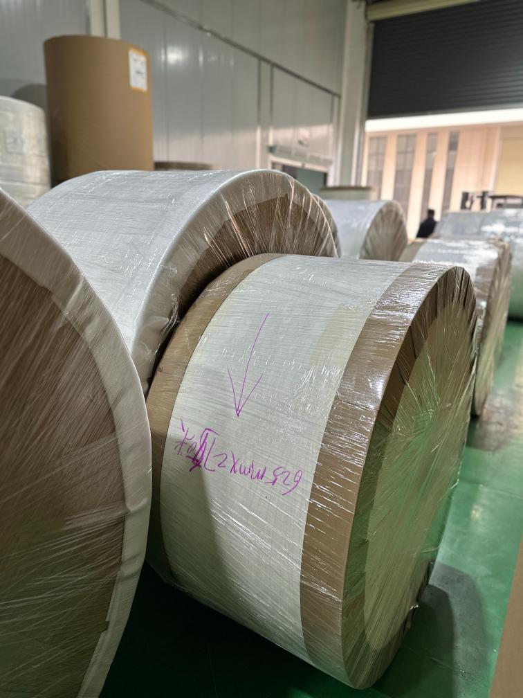 Wood Pulp Paper | Ruize